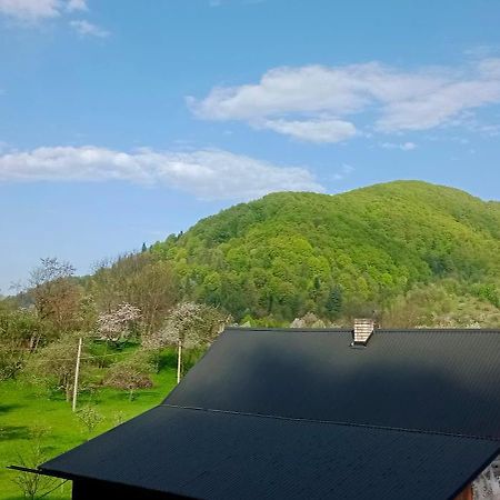 Вілла Під горою Шешори Екстер'єр фото