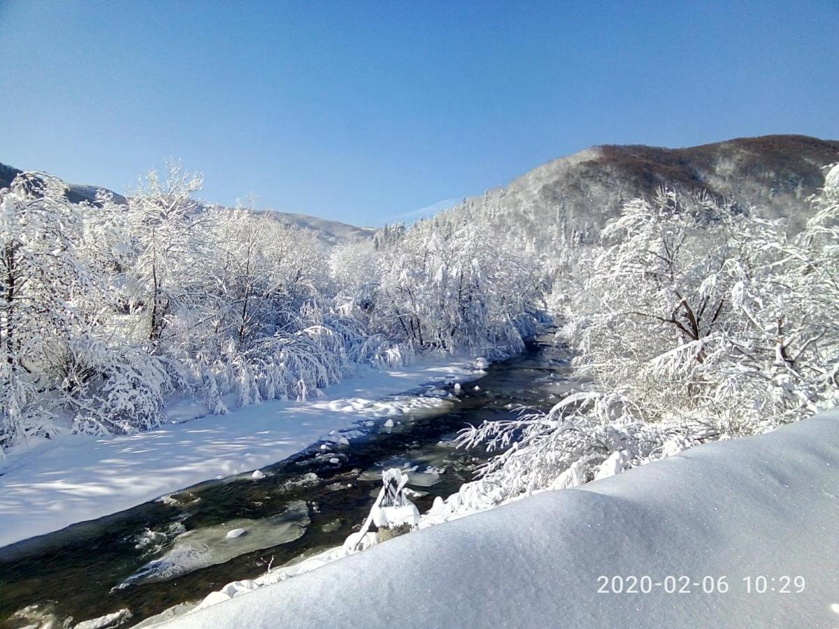 Вілла Під горою Шешори Екстер'єр фото