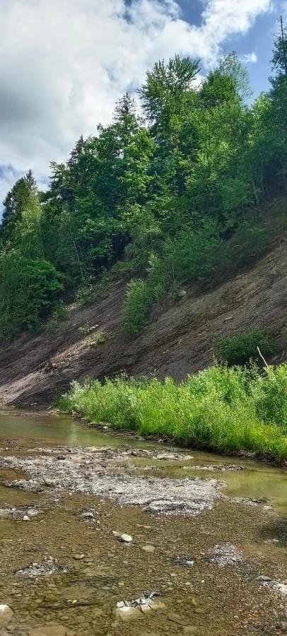 Вілла Під горою Шешори Екстер'єр фото