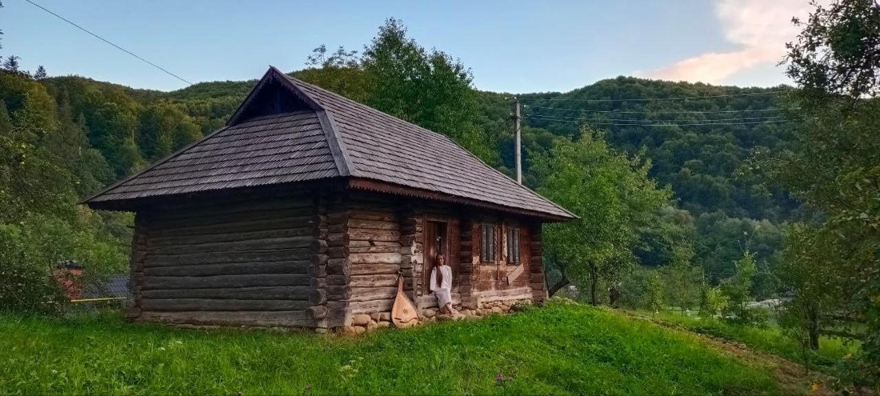 Вілла Під горою Шешори Екстер'єр фото