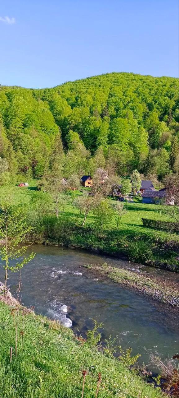 Вілла Під горою Шешори Екстер'єр фото