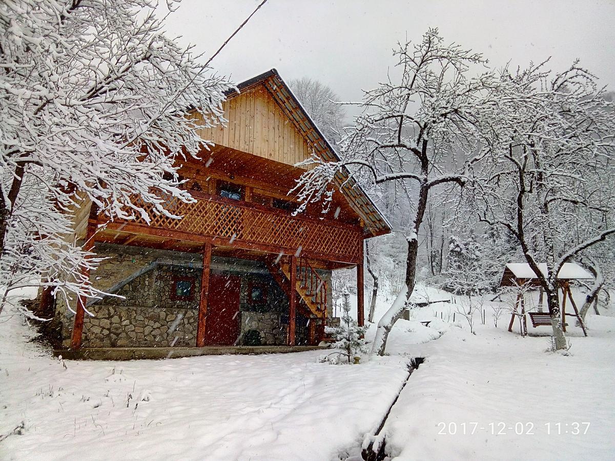 Вілла Під горою Шешори Екстер'єр фото