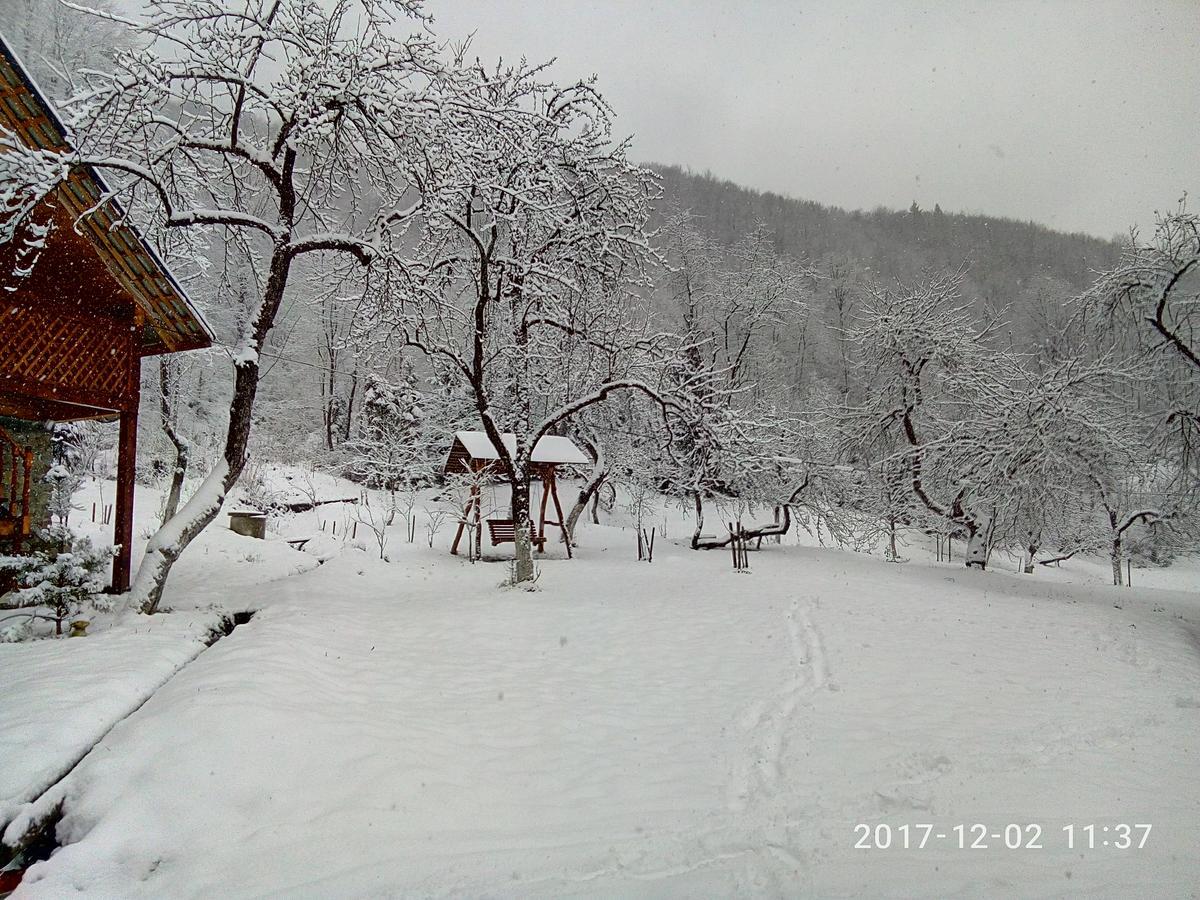 Вілла Під горою Шешори Екстер'єр фото